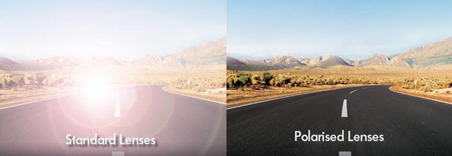 why-polarised why-polarised